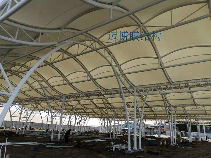 宁夏沙湖旅游景区游客返程码头膜结构遮阳棚工程介绍